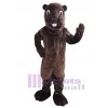 Beaver mascot costume