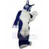 Wolf mascot costume