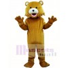 Brown Bear Adult Mascots Costume