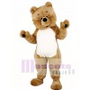 Teddy Bear Mascot Costume