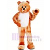 Mens Honey Bear Mascot Costume