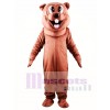 Beaver Mascot Costume