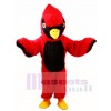 Red Cardinal Mascot Costume