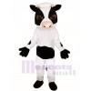 Dairy Cow Mascot Costume