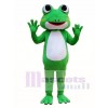 Green Frog Mascot Costume