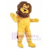King Lion Costume