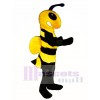 Killer Bee Mascot Costumes