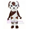 Baby Brown and White St Bernard Dog Mascot Costume