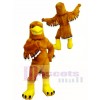 Golden Eagle Mascot Costume for High School