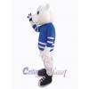 Bear mascot costume