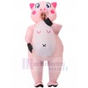 pig inflatable costume