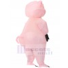 pig inflatable costume