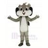 Cute Grey Squirrel Mascot Costume Animal