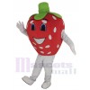 Strawberry mascot costume