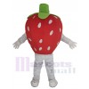 Strawberry mascot costume
