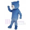 Teddy Bear mascot costume