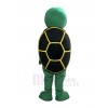 Turtle mascot costume