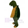 Tortoise mascot costume