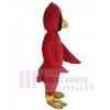 Cardinal Bird mascot costume