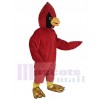 Cardinal Bird mascot costume