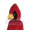 Cardinal Bird mascot costume