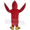 Cardinal Bird mascot costume