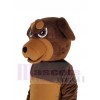 Rottweiler Dog mascot costume