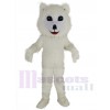 Samoyed Dog mascot costume