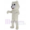 Samoyed Dog mascot costume