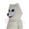 Samoyed Dog mascot costume