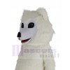 Samoyed Dog mascot costume