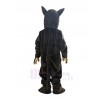 Coyote mascot costume