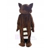 Raccoon mascot costume