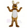 Kody Koyote Coyote Wolf Mascot Costume Animal	