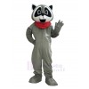 Raccoon mascot costume