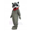 Raccoon mascot costume