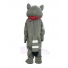 Raccoon mascot costume