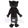 Raccoon mascot costume
