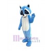 Raccoon mascot costume