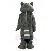 Raccoon mascot costume