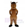 Pony Horse mascot costume