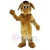 Brown Aardvark Mascot Costume Animal