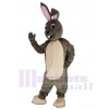 Easter Bunny mascot costume