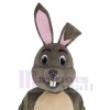 Easter Bunny mascot costume