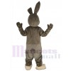 Easter Bunny mascot costume