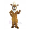 Deer mascot costume