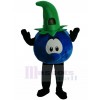 Blueberry mascot costume