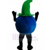 Blueberry mascot costume