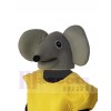 Mouse mascot costume