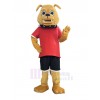 Bulldog Dog mascot costume